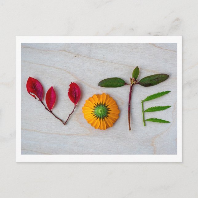 Postal de voto (Anverso)