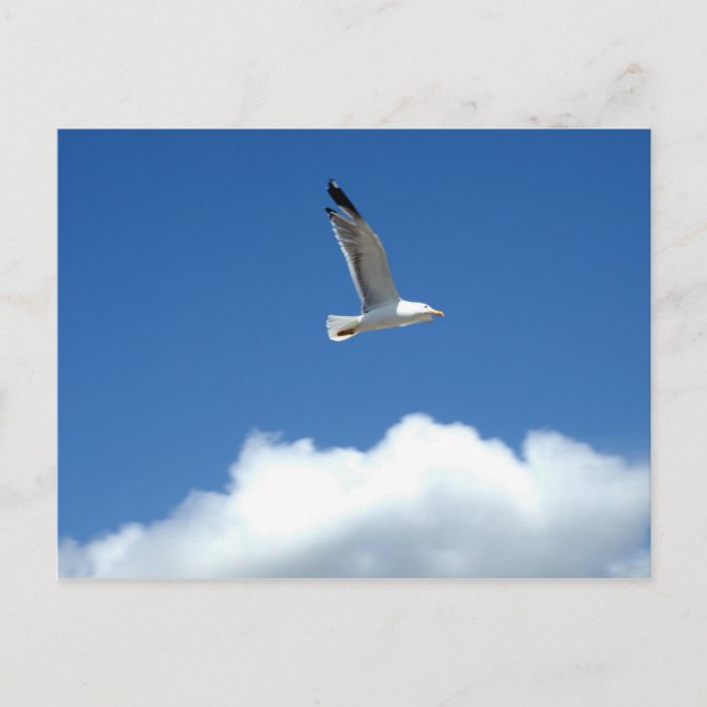 Postal de vuelo único (Anverso)