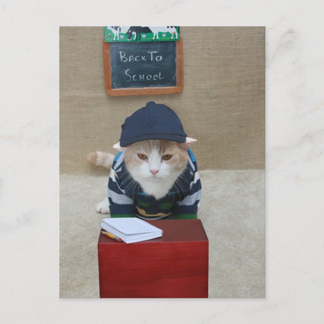 Postal De vuelta a la escuela Bubba (Anverso)