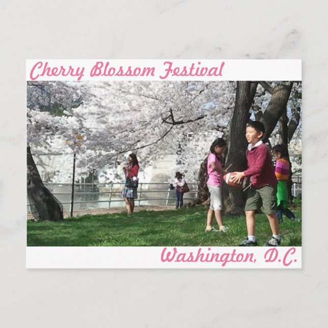 Postal de Washington, D.C. Cherry Blossom (Anverso)
