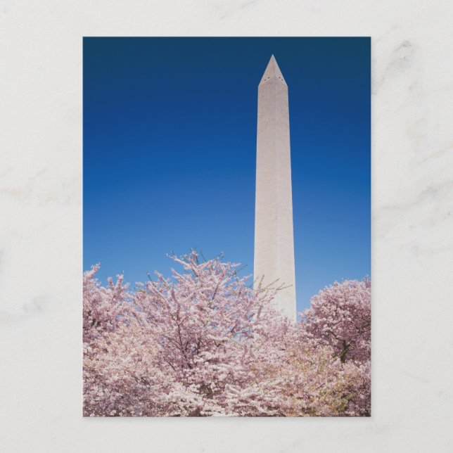 Postal de Washington DC (Anverso)