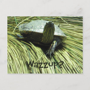 postal de Wazzup
