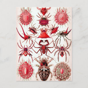 postal de Web Crawlers