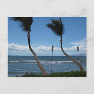 postal de West Maui Palms