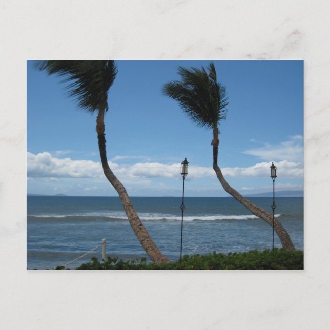 postal de West Maui Palms (Anverso)