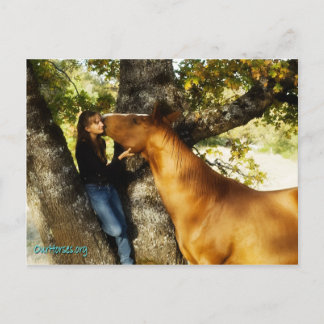 Postal de whisky de Sundance