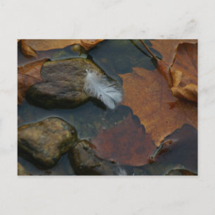 postal de White Feather