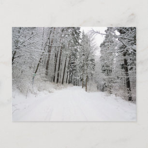 postal de winterland