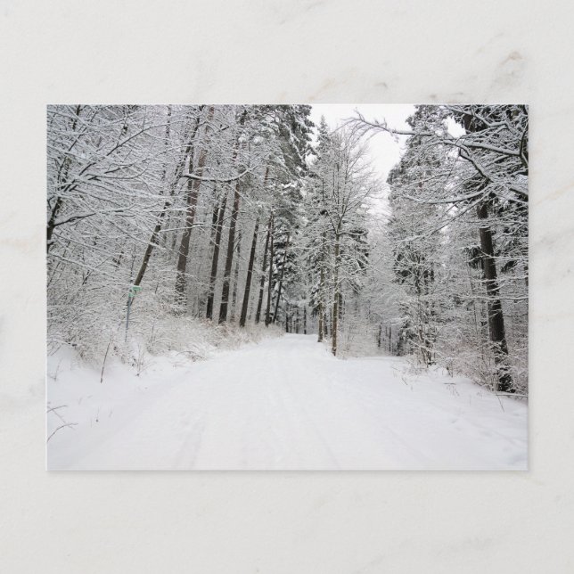 postal de winterland (Anverso)