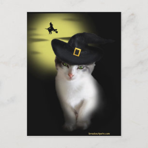 Postal de Witch Kitten