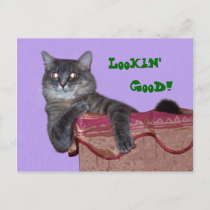 Postal de Xena Chillin - Personalizada