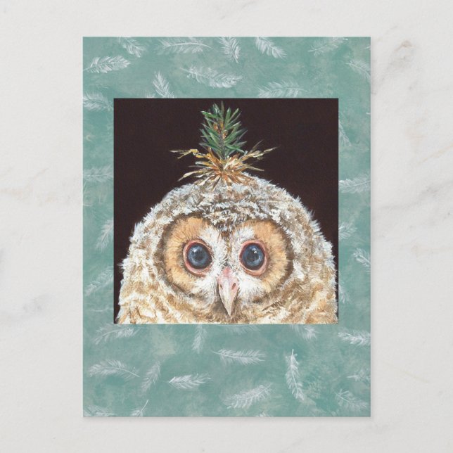 postal de Zane (owlet w jack pine) (Anverso)