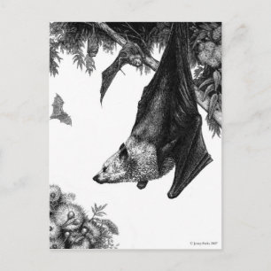 Postal de zorros voladores