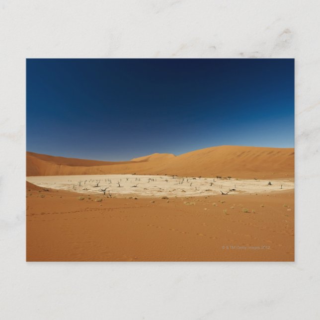 Postal Deadvlei famoso con los árboles muertos, desierto (Anverso)