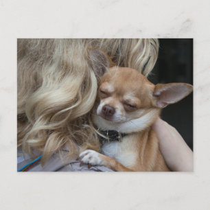 Postal Dearly Beloved