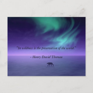 Postal Debajo de los cielos mágicos