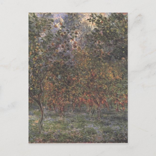 Postal Debajo de los Lemontree (Anverso)