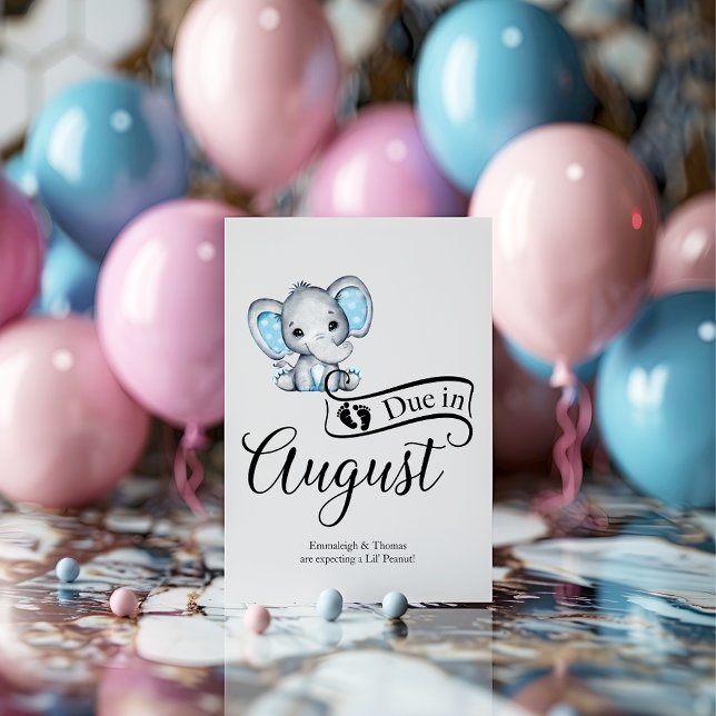 Postal Debate en Agosto: Pequeño cacahuete bebé elefante (Subido por el creador)