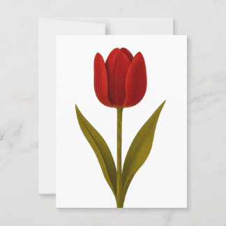 Postal Declaración de amor