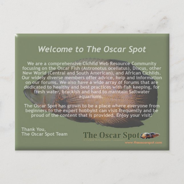 Postal Declaración de la Misión (Anverso)