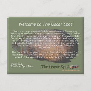 Postal Declaración de Misión