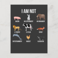 Declaración de Vegan Life Rescate de los derechos 