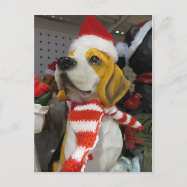 Postal Decoración de los honores (Anverso)