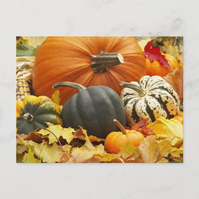 Postal Decoración De Octubre (Anverso)