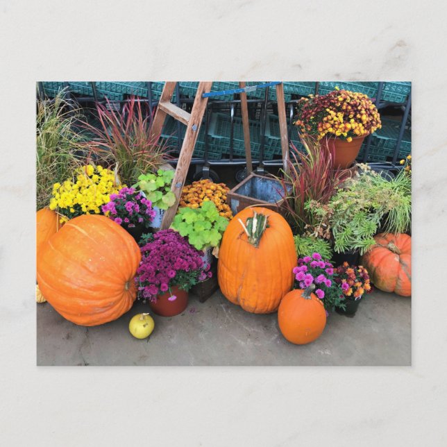 Postal Decoración de otoño (Anverso)