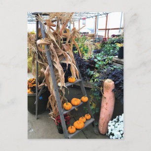 Postal Decoración de otoño