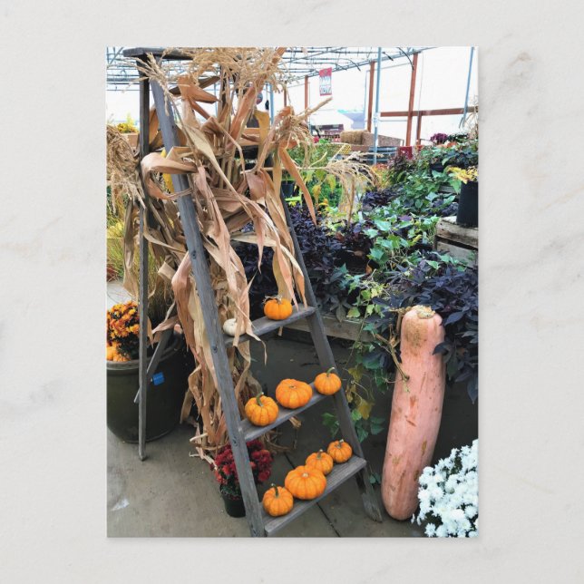 Postal Decoración de otoño (Anverso)