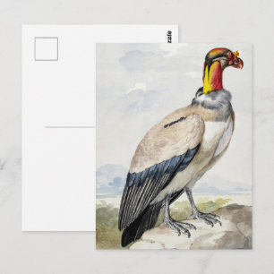 Postal Decoración de pared de buitre rey exótico vibrante