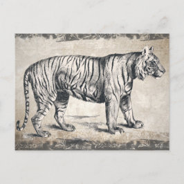 Postal Decoración de tigres de vida silvestre