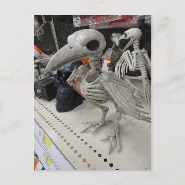 Postal Decoración del esqueleto de aves (Anverso)