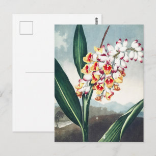 Postal Decoración floral exótica blanca amarilla estilo R