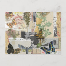 Decoupage de la efemera de la mariposa floral