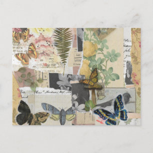 Postal Decoupage de la efemera de la mariposa floral