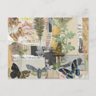 Postal Decoupage de la efemera de la mariposa floral