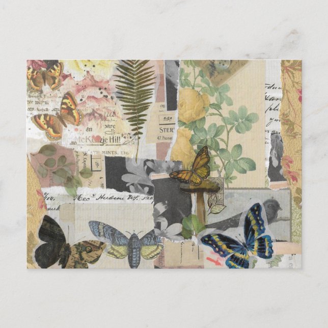 Postal Decoupage de la efemera de la mariposa floral (Anverso)