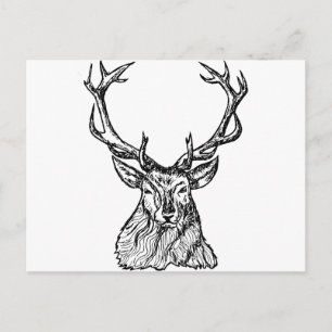 Postal Deer