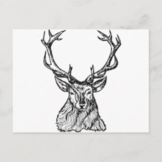 Postal Deer