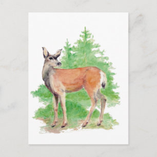 Postal Deer acuarela, naturaleza animal Vida silvestre