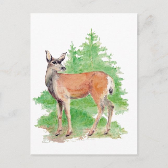 Postal Deer acuarela, naturaleza animal Vida silvestre (Anverso)