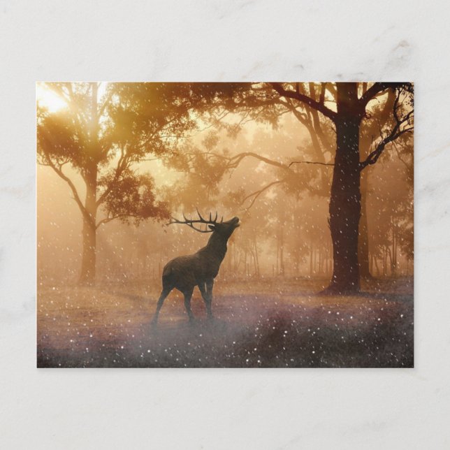 Postal Deer Antler Meadow (Anverso)