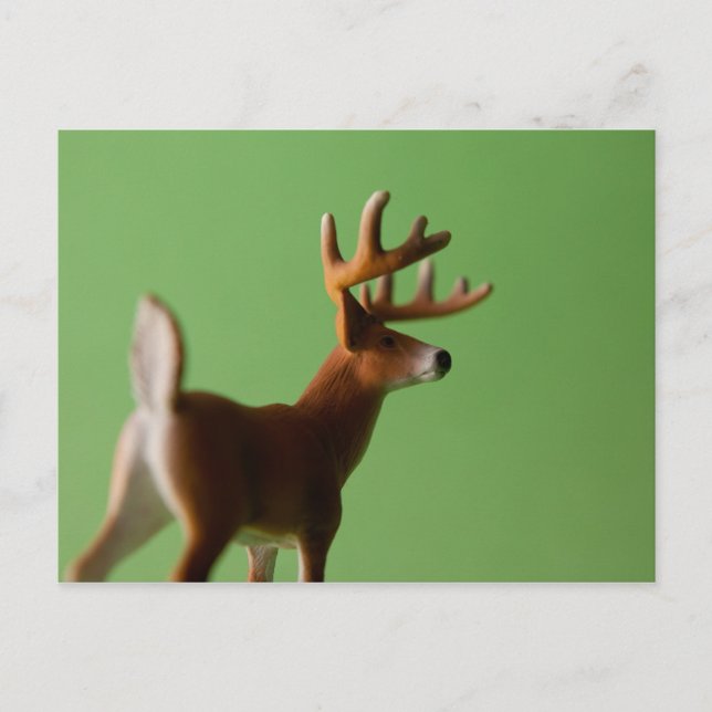 Postal Deer Butt (Anverso)