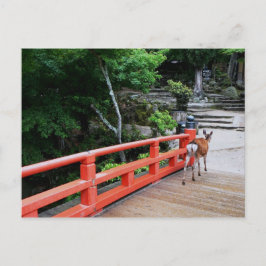 Postal Deer cruzando el puente japonés