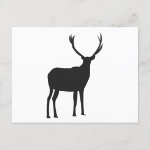 Postal Deer Cute Antlers