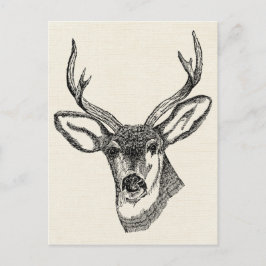 Postal Deer de época