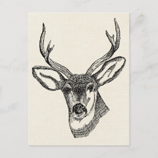 Postal Deer de época (Anverso)