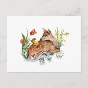 Postal Deer de primavera